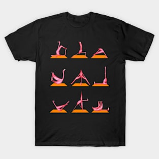 flamingo love yoga T-Shirt